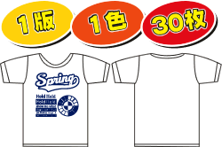 1版、1色、30枚で1,320円＠1枚あたり