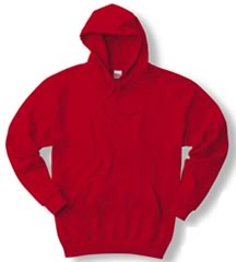 00176-NCH スウェットパーカー